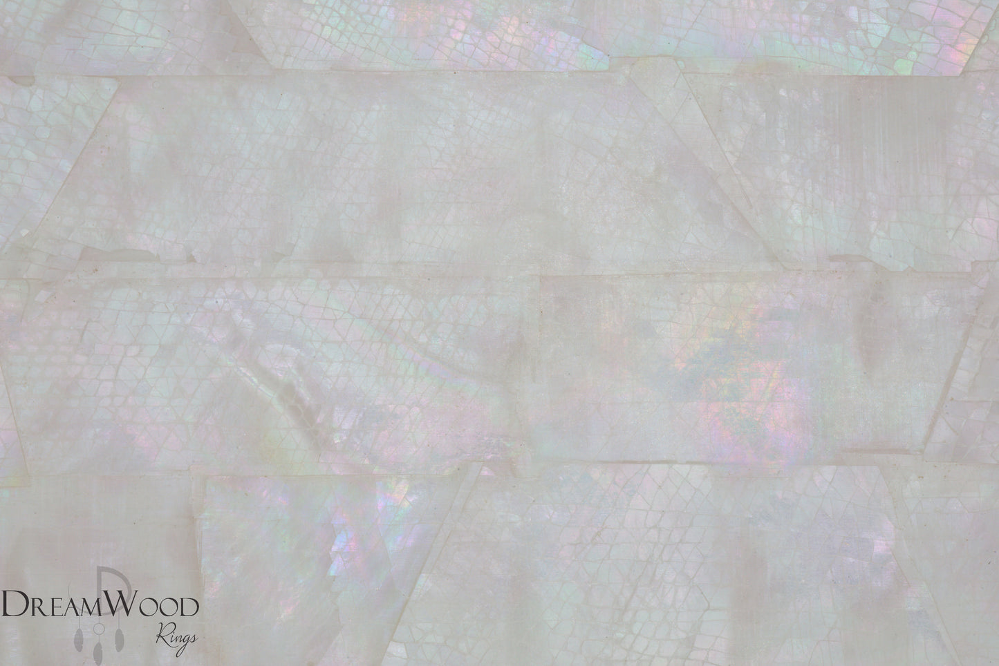 White Sea Shell Sheet | 3M Backing
