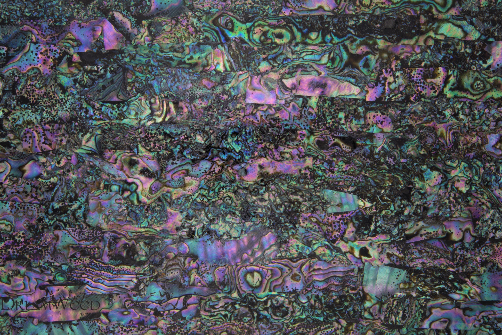 Mexico Paua Shell Sheet | 3M Backing | DreamWood Rings Supplies